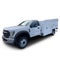 2025 Ford F-550 XL