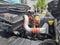 2019 International MV607 Base